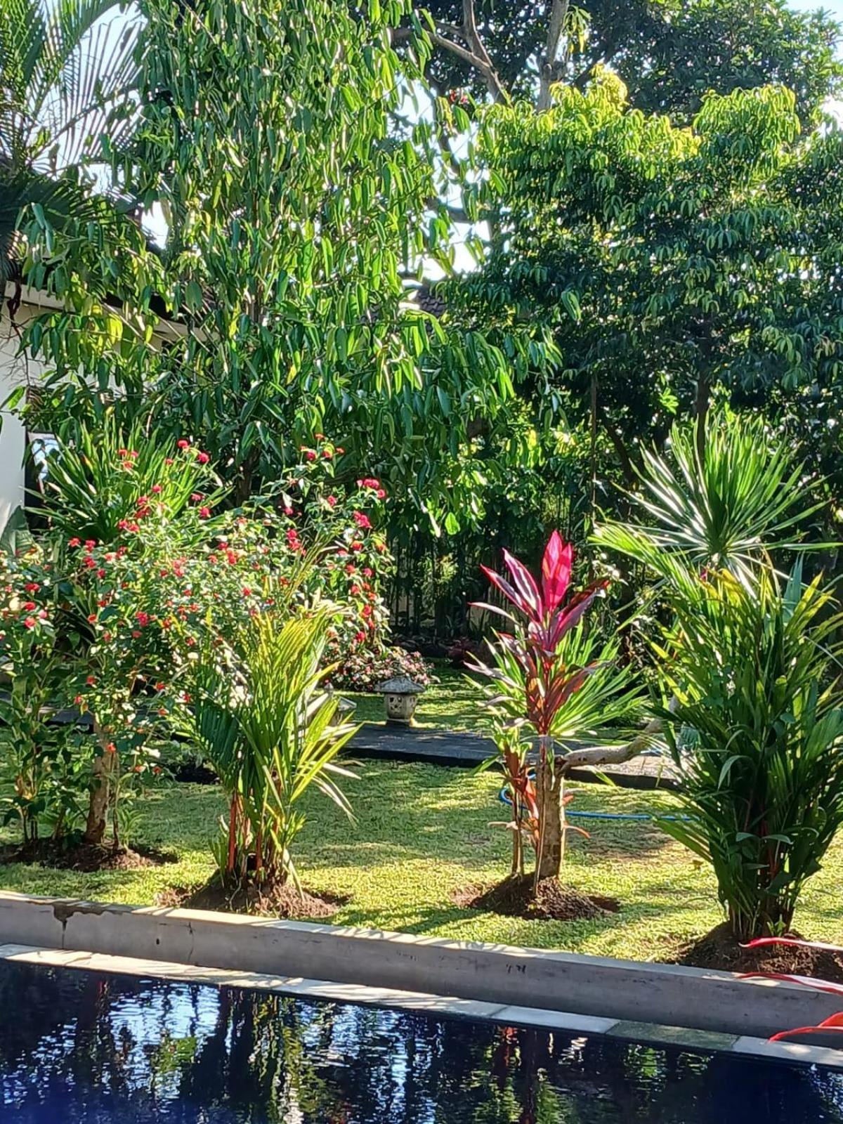 Puri Amartha Apartment Ubud Exterior foto